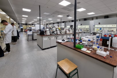 GlycoChemistry Laboratory – Lennard-Jones Building LJ1.60