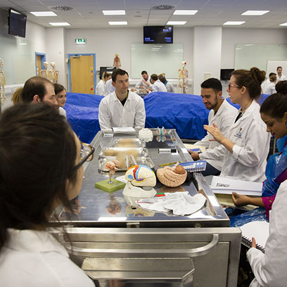 Anatomy room