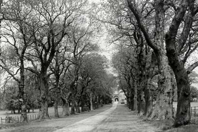 Clock House Drive