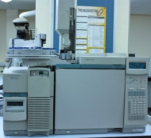 GCMS x300