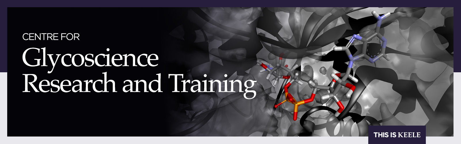 Centre for Glycoscience Research and Training banner