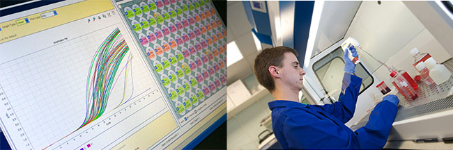lab work
