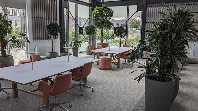 IC7 Winter Garden Room
