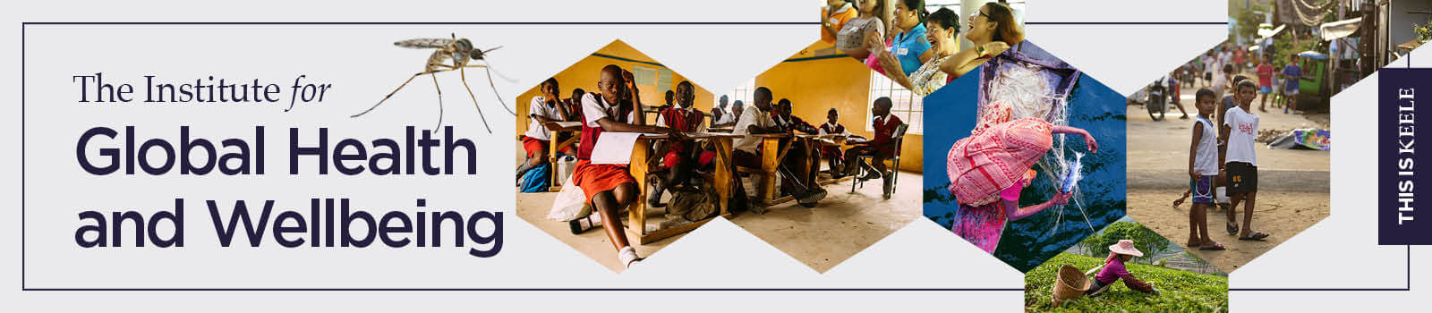 Institute for Global Health banner