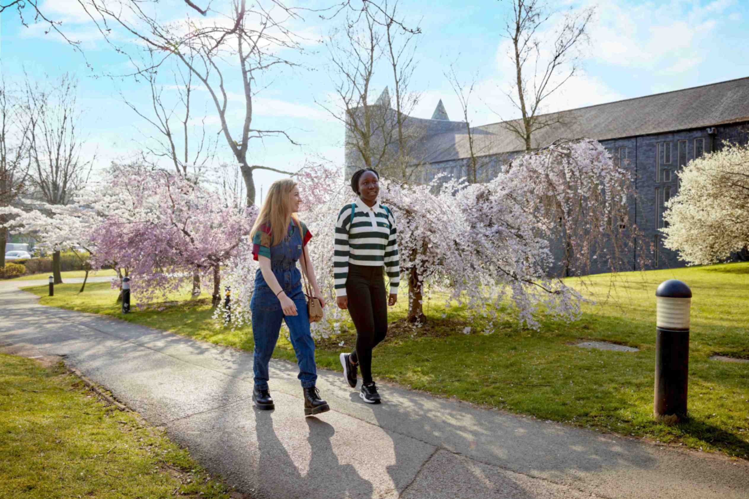 Cherry tree walk