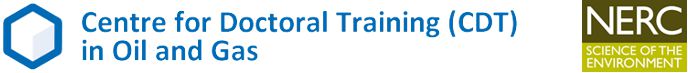 Official CDT banner