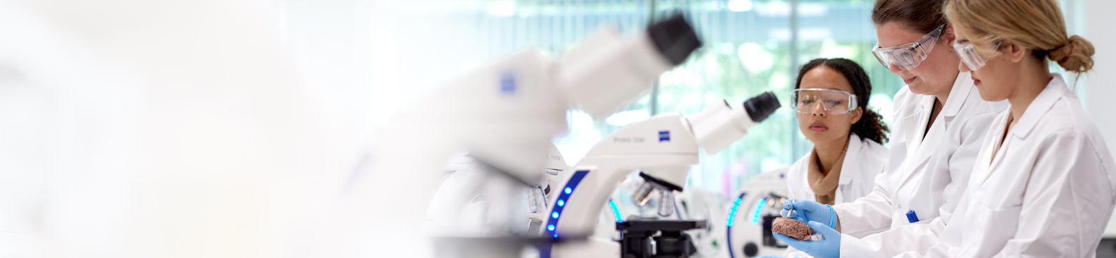 Neuroscience with Artificial Intelligence