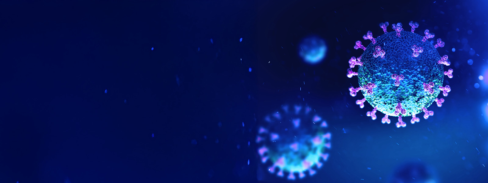 Explore our postgraduate  research opportunities banner
