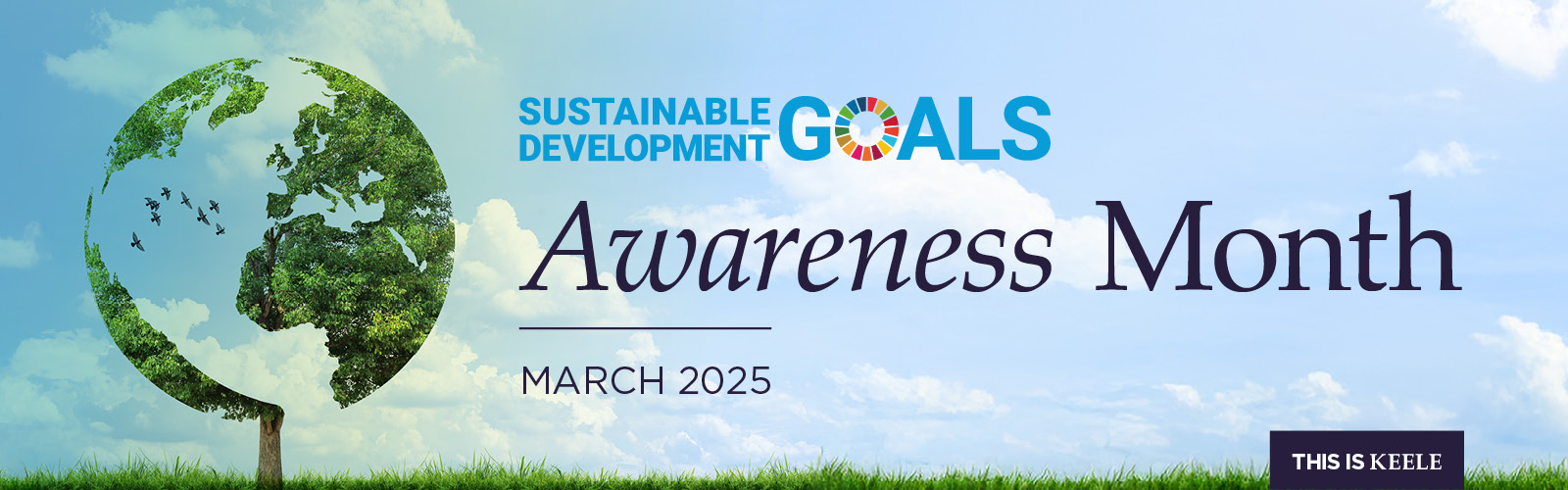 SDG banner