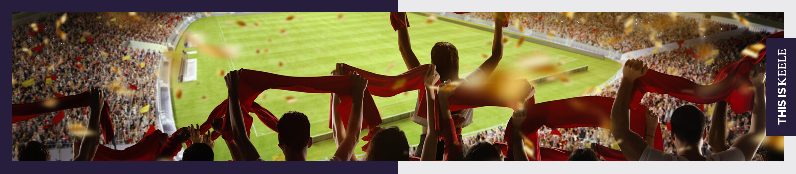 People cheering in a sports stadium