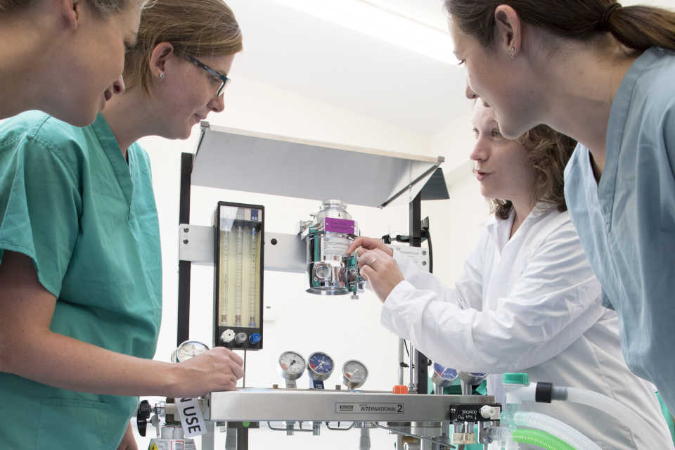 Veterinary Medicine and Surgery students