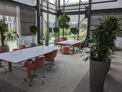 Winter garden 2