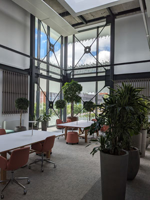 Winter garden 4